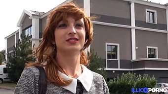 Fransız Am...