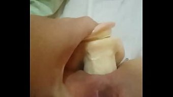 Bu Solo Vi...