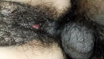 Bu Hint Vi...