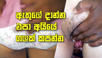 Srilankan ...