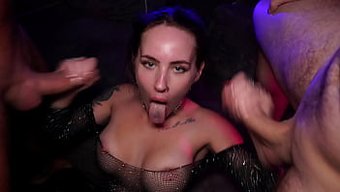 Bella Ve D...