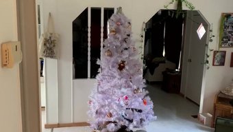 Noel Sürpr...