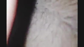 Büyük Doğa...