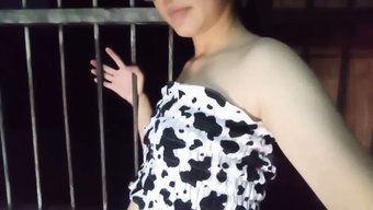 Azgın Tayl...
