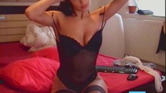 Seksi Web ...