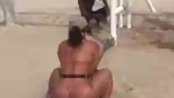 Güzel At, ...