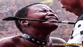 Ebony Köle...
