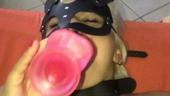 Seksi Fahi...