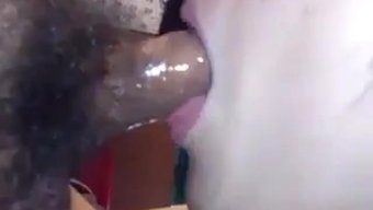 Amatör Çin...