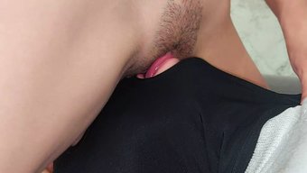 Amatör Han...