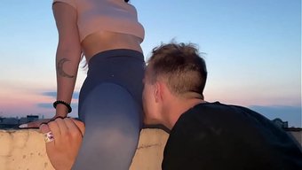 Lulu Taytl...