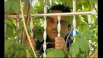 Sarışın Bo...