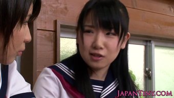 Cfnm Japon...