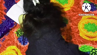 Hintli Çif...