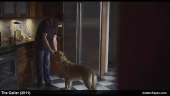 Seksi Film...