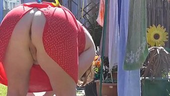 Seksi Iç Ç...