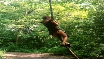 Tarzan Ile...