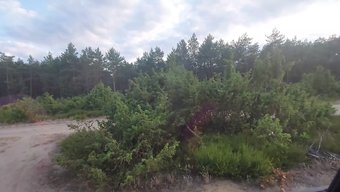 Amatör Gen...