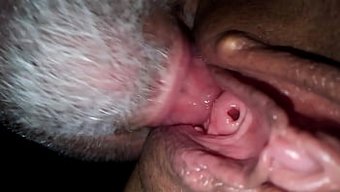 Kvid0204 V...