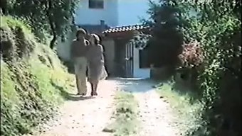 Vintage Fi...