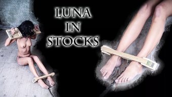 Luna Ve Ar...