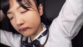 Japon Öğre...