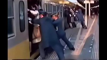 The Sex Tr...