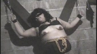 Latin Bebe...